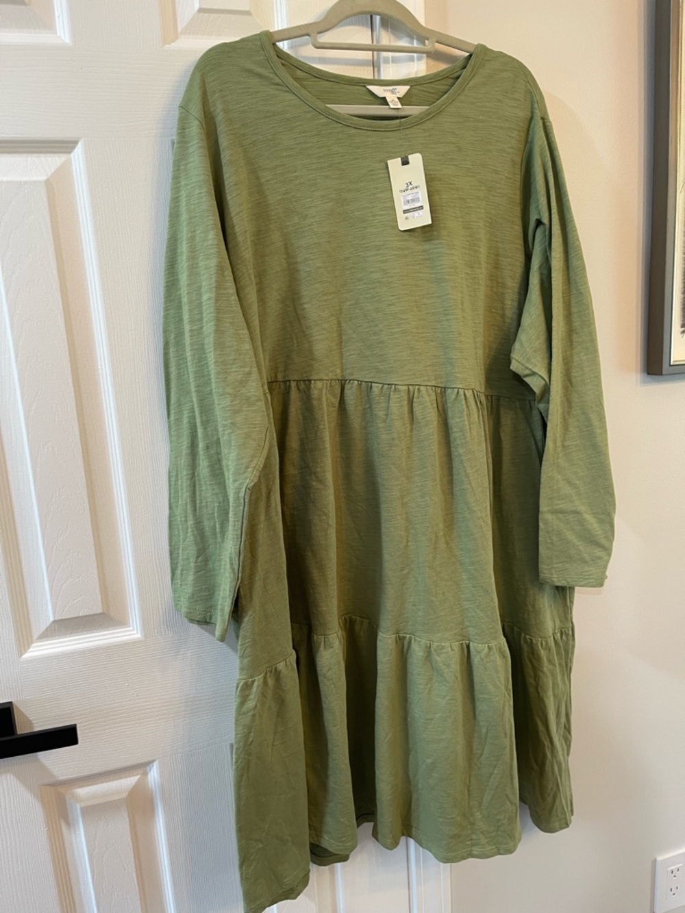 Terra & Sky Sage Green Tiered Long Sleeve Womens Dress